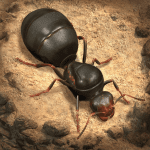 The Ants Underground Kingdom VARY MOD Unlimited Money